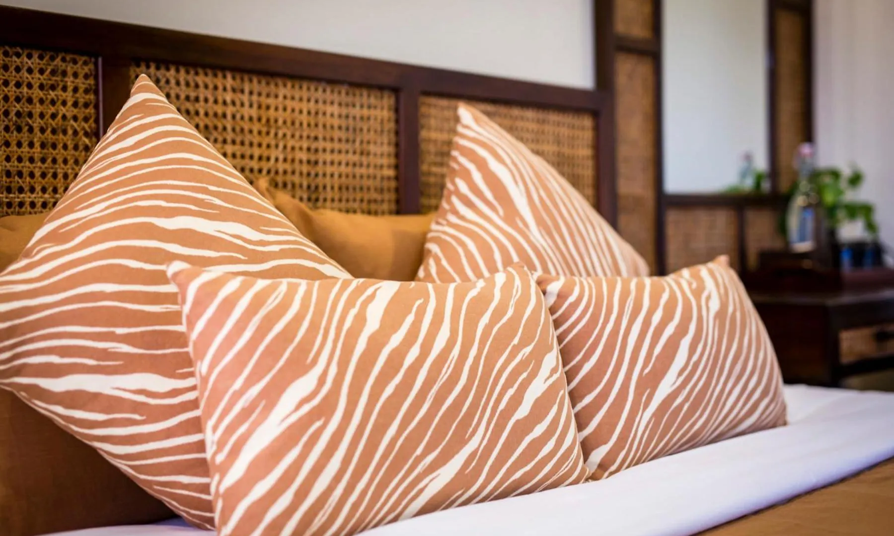 Hoi An Clara House Villa