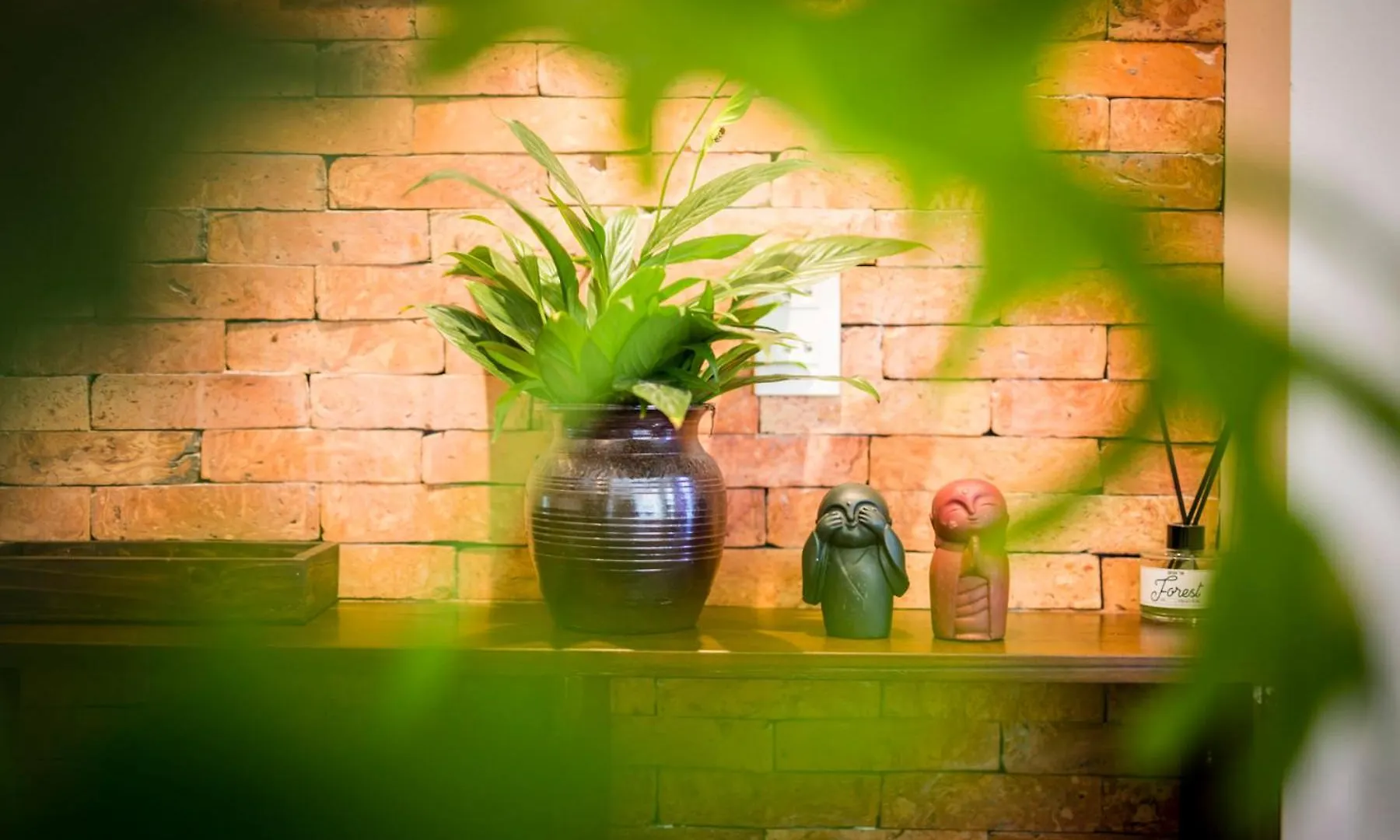 Hoi An Clara House Villa Vietnam